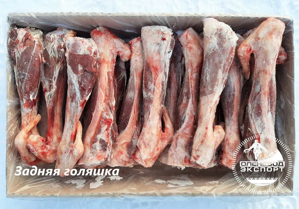 мясо оленина. задняя голяшка в Нарьян-Маре и Ненецком автономном округе