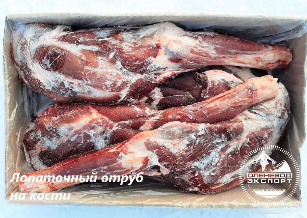 мясо оленина. лопаточный отруб на кости в Нарьян-Маре и Ненецком автономном округе